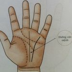 Xem tuong tay, xem chi tay co hinh, coi chi tay, xem chi tay nam, xem chi tay truc tuyen, xem boi qua chi tay, coi boi