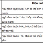Phong thuy be ca, nuoi ca hop phong thuy, nuoi ca hop ngu hanh, ngu hanh va viec nuoi ca