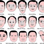 tổng quan xem bói tướng mặt