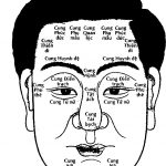 Coi tuong mat, xem tuong, xem tuong khuon mat, xem tuong qua khuon mat, xem boi tuong mat