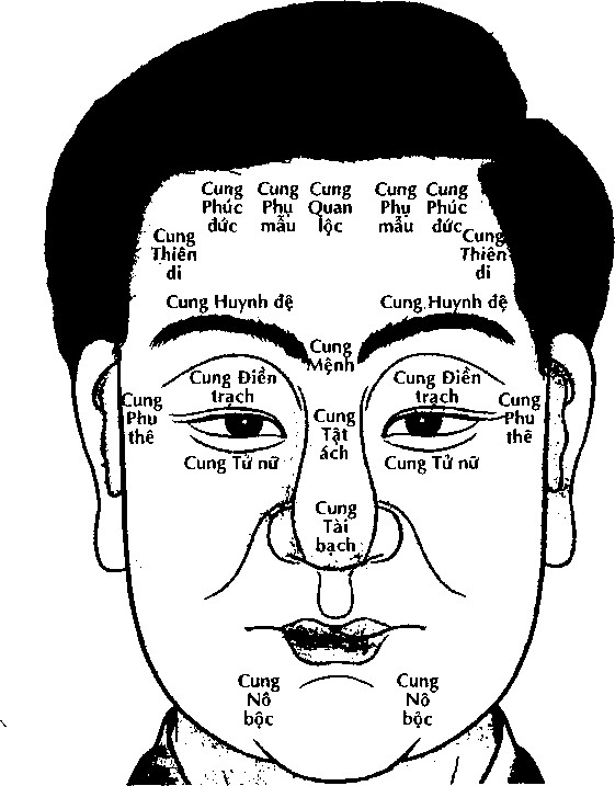 Coi tuong mat, xem tuong, xem tuong khuon mat, xem tuong qua khuon mat, xem boi tuong mat