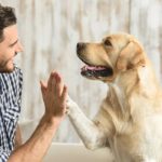 mơ thấy người và chó nô đùa thân thiết