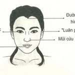 xem tướng mặt của người cao ngạo