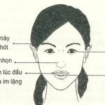 xem tướng mặt người thích thể hiện mình