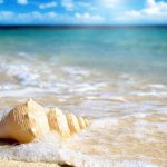 Bài thơ Sóng In trong tập Hoa dọc chiến hào (1968)