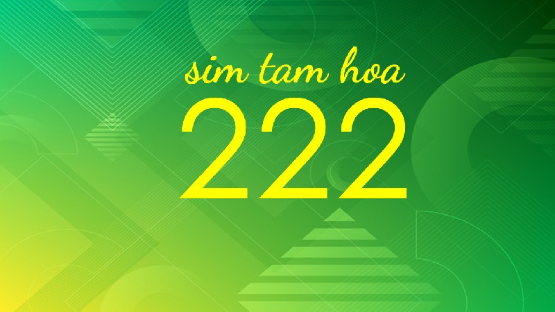 Ý nghĩa số 222